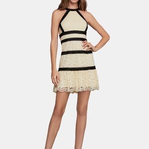 bcbgmaxazria lace eyelet flare size 2